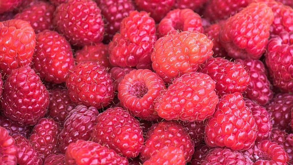 About Raspberries