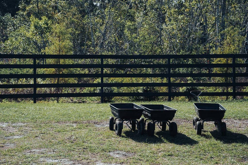 Protect your Fruit Garden from Wildlife