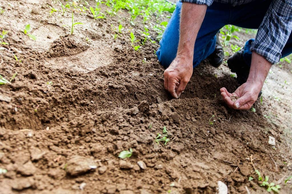 Soil Testing