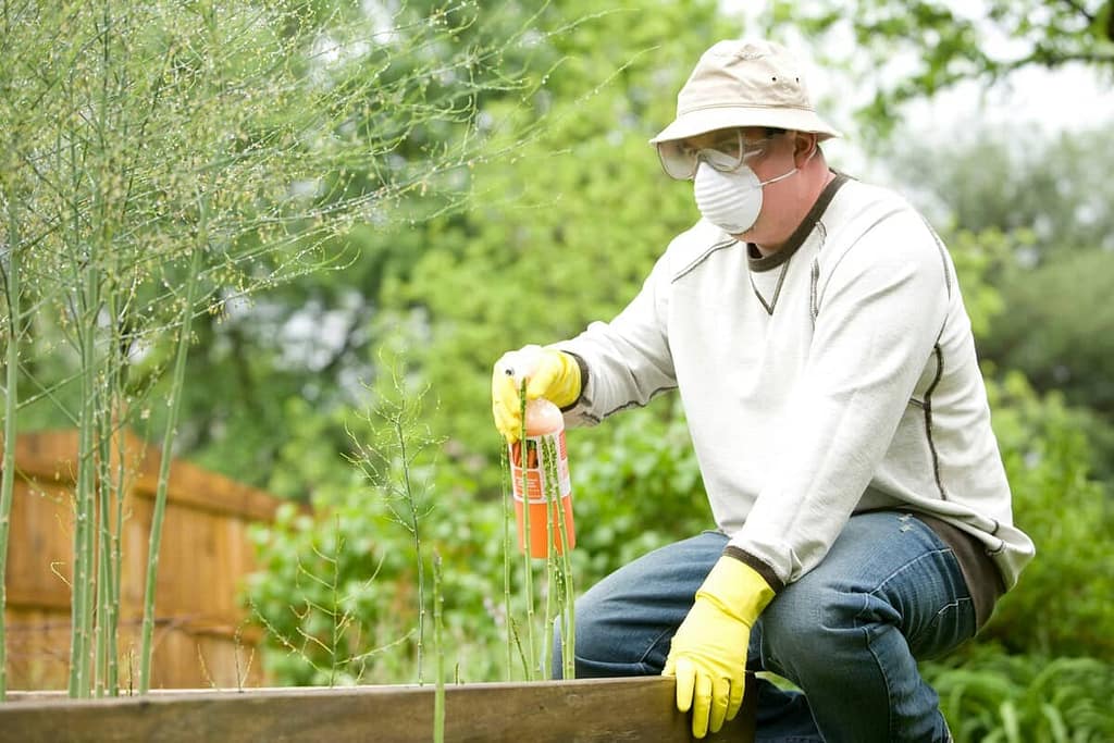 Fertilizing