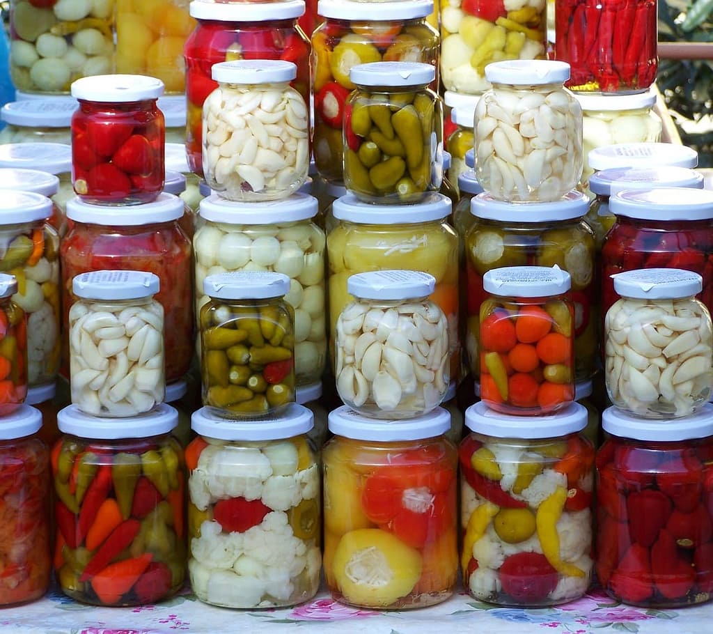 Preserve Vegetables by Fermentation