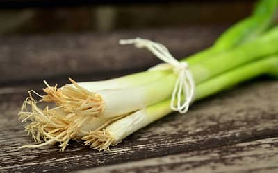 Bunching Onions - Featured Image