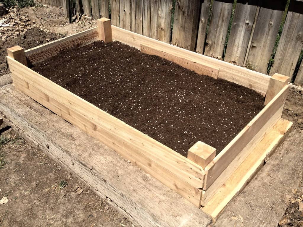 Bed Cropping - vegetable garden