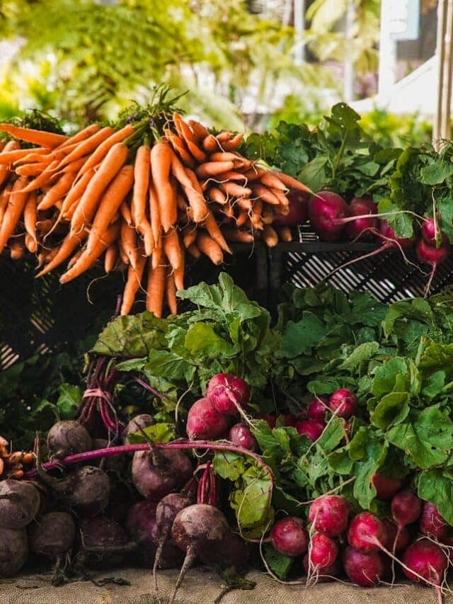 Harvesting Vegetables: Your Guide to a Bountiful Garden