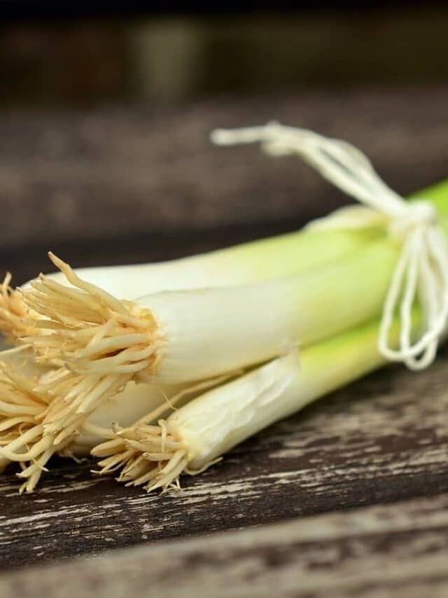 How to grow bunching Onions?